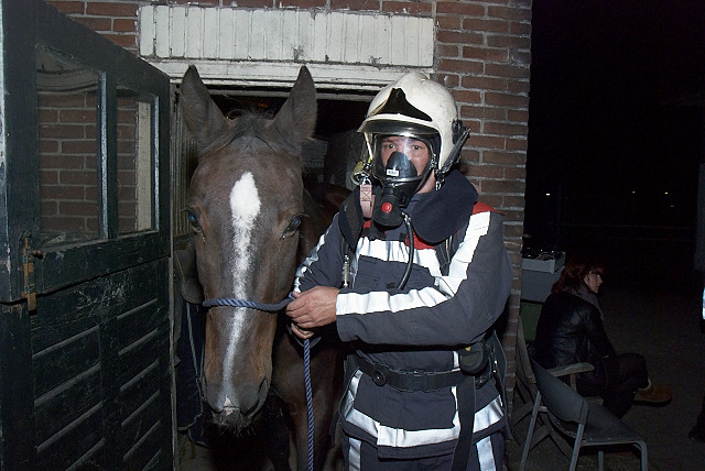 2011/201a/GB 20110914 043 Oefening grote huisdieren.jpg